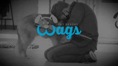 Wags Pet Resort